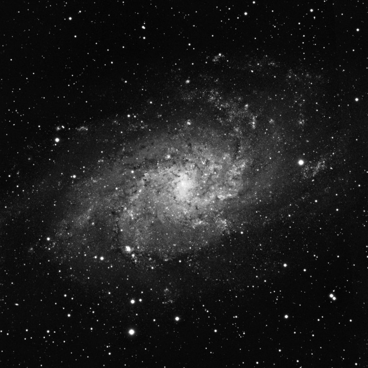 M33AstrobinFinal180watermarkmono