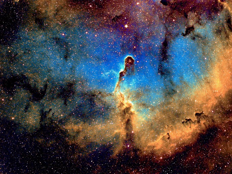 elephanttrunkfinalastrobinwater